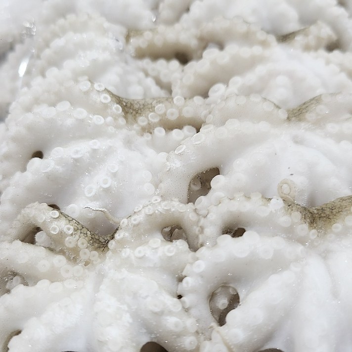 급냉 절단주꾸미 손질 쭈꾸미 1kg 2kg 3kg 4kg, 플라워쭈꾸미 200g(10미) x 2팩