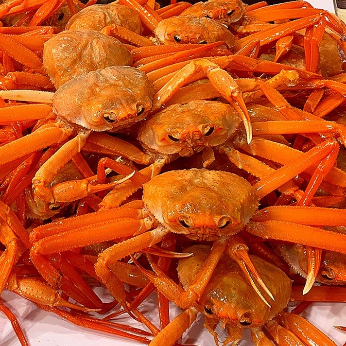 꿀비마켓 연지홍게 포항 구룡포 산지직송 2kg 정품 4kg 정품 라면용 다리수율 80%이상 당일배송 순차배송 구룡포 홍게 전세계수산, 4kg(16-20미) B급 라면용 육수용(자숙)