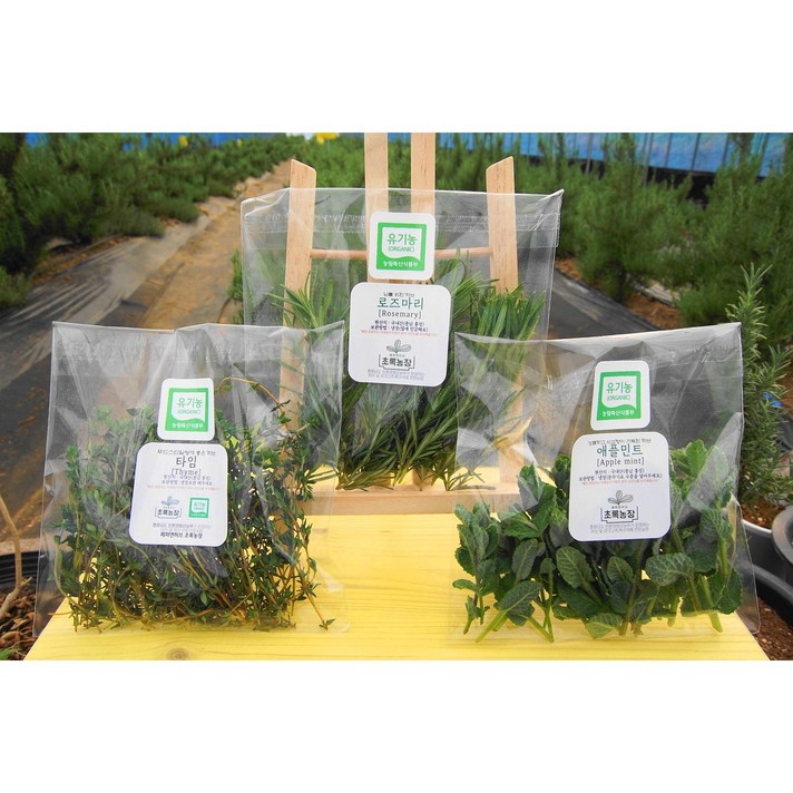 카페용 허브생잎 3종(로즈마리20g+타임20g+애플민트20g) 식용허브 실속형 유기농