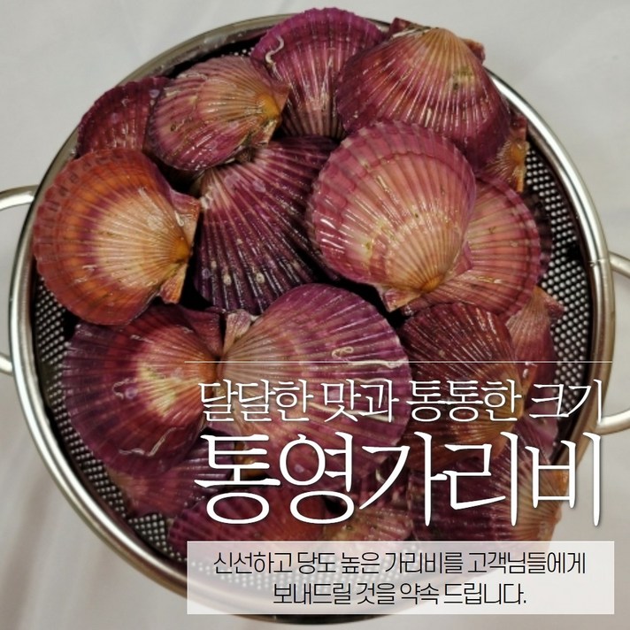 산지에서바로 통영 홍가리비 황금가리비 비단가리비 석화 1kg 2kg 3kg 5kg 10kg, 홍가리비 5kg
