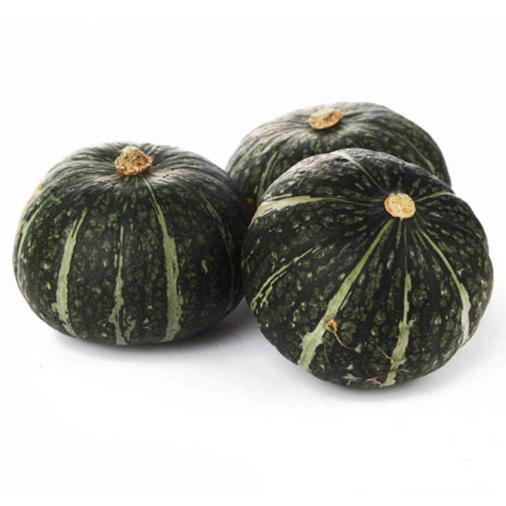 21년수확 국내산 청정 햇 단호박, 단호박5kg(3~7개)