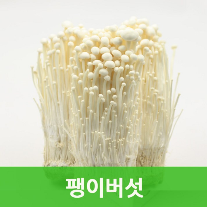 팽이버섯(150gx34봉) 무농약 팽이버섯 싱싱지오, 팽이버섯