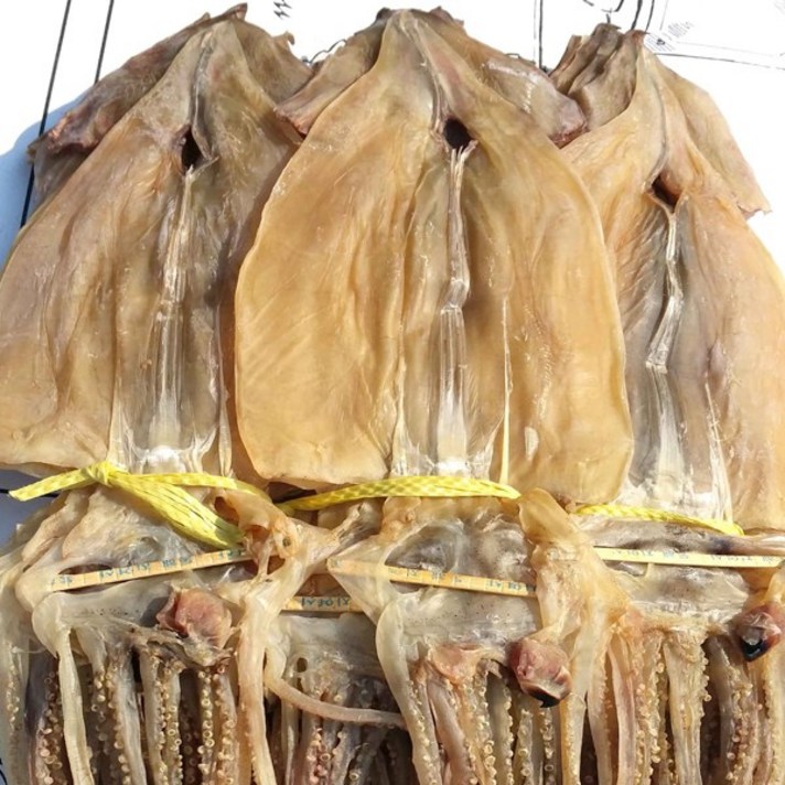 동해안 건오징어 1.5kg 1축 20마리