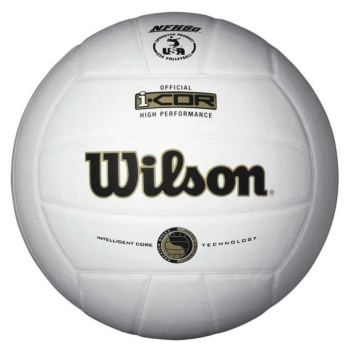 Wilson I-COR 하이 퍼포먼스 발리볼 배구공 화이트