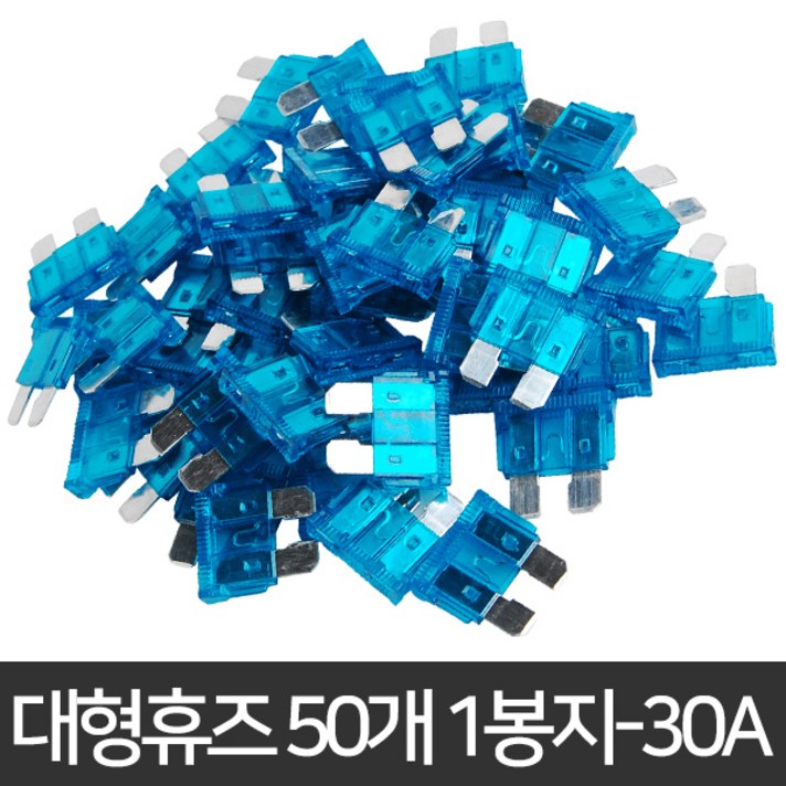 라온공구 자동차휴즈 휴즈 퓨즈 관휴즈 차량용 유리관 차량휴즈, 8.대형휴즈 50개 1봉지-30A