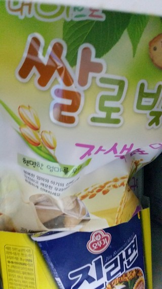 갤러리 이미지