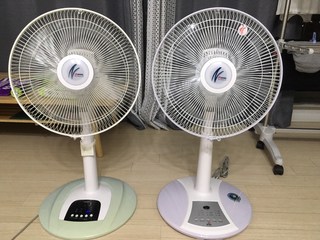 갤러리 이미지