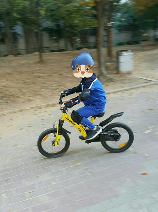 갤러리 이미지