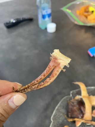갤러리 이미지
