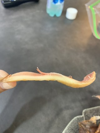 갤러리 이미지