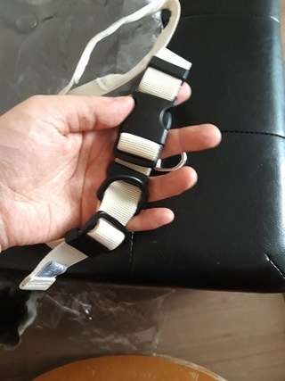 갤러리 이미지