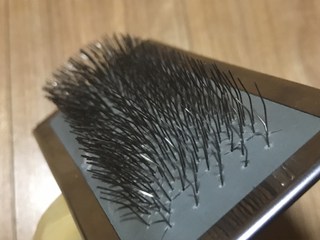 갤러리 이미지