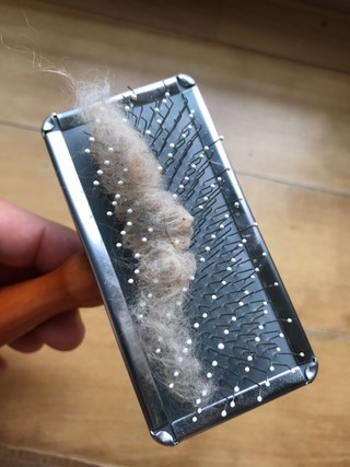 갤러리 이미지