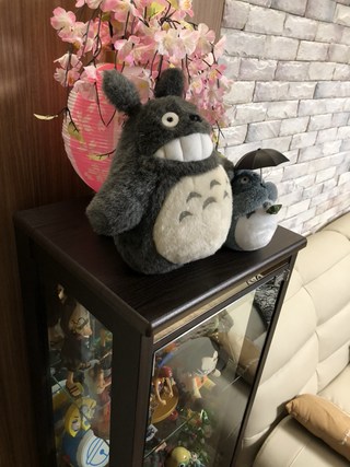 갤러리 이미지