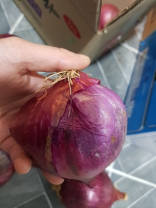 갤러리 이미지