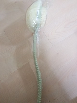 갤러리 이미지