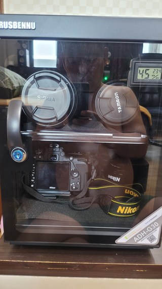 갤러리 이미지