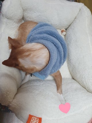 갤러리 이미지