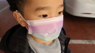 갤러리 이미지