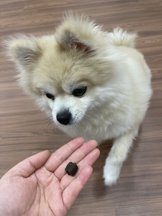 갤러리 이미지