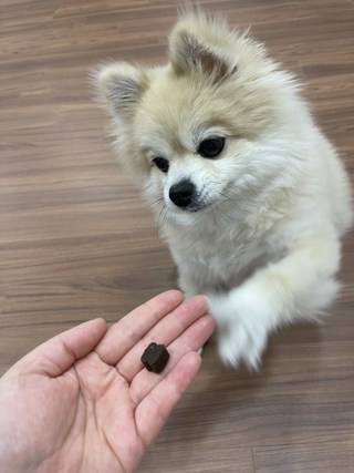 갤러리 이미지