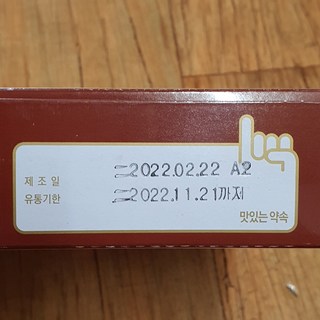 갤러리 이미지