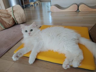 갤러리 이미지