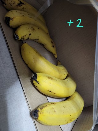 갤러리 이미지