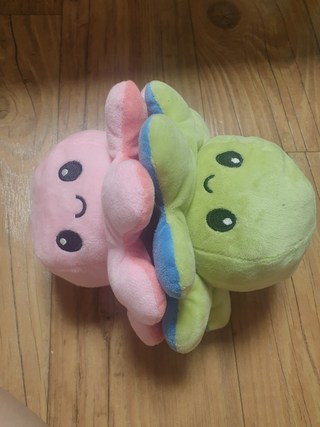 갤러리 이미지