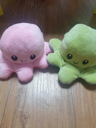 갤러리 이미지