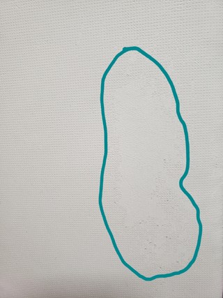갤러리 이미지