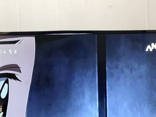 갤러리 이미지