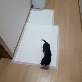 갤러리 이미지