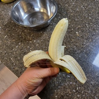 갤러리 이미지