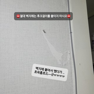 갤러리 이미지