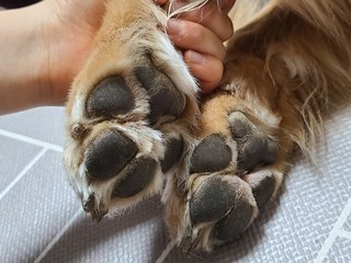 갤러리 이미지