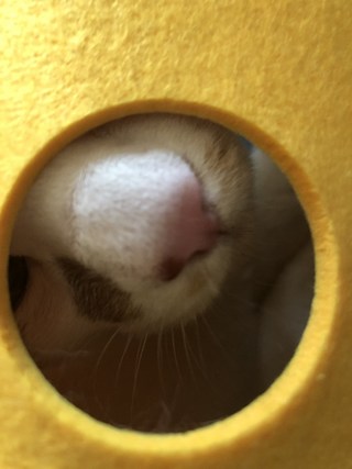 갤러리 이미지