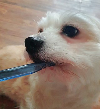 갤러리 이미지