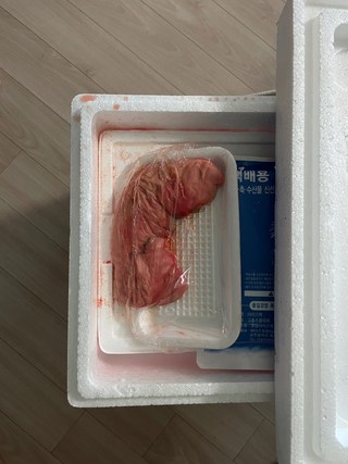 갤러리 이미지