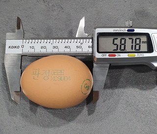 갤러리 이미지