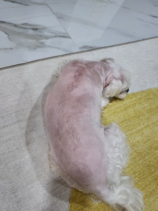 갤러리 이미지