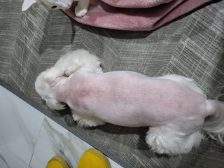 갤러리 이미지