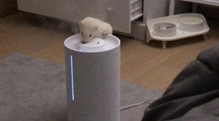 후기