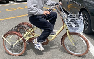갤러리 이미지