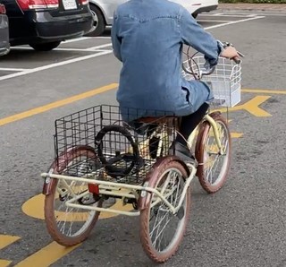 갤러리 이미지
