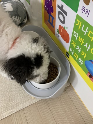 갤러리 이미지