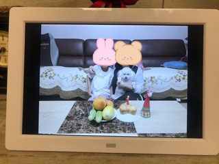 갤러리 이미지