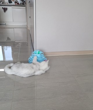갤러리 이미지
