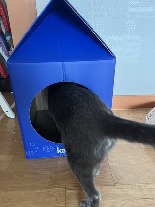 갤러리 이미지