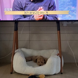 갤러리 이미지